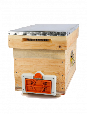 IPKO-009 Ruşet Kovan ve 6 'lı Çerçeve