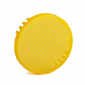 IPA-032 Ana Arı Memesi Hapsetme Büyük