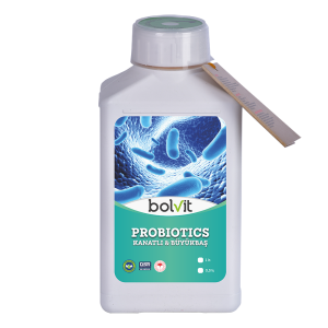 Bolvit Probiotics - 1 Lt Kanatlı & Büyükbaş & Küçükbaş