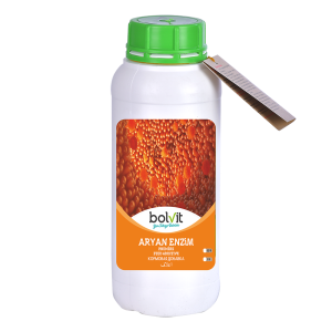 Bolvit Aryan Enzim 1 Litre