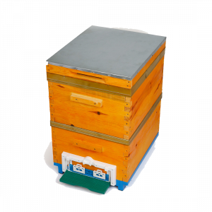 IPKO-006 Mavi Plastik Tabanlı Arı Kovanı Geçmeli